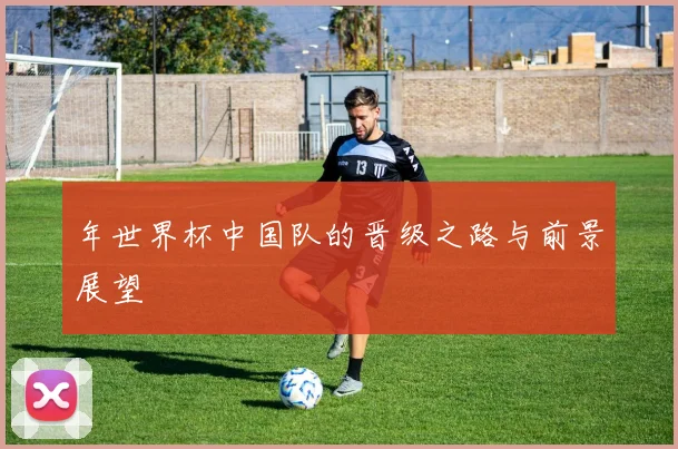 年世界杯中国队的晋级之路与前景展望