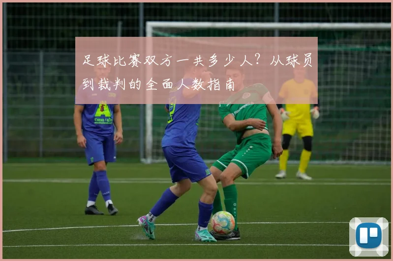 足球比赛双方一共多少人？从球员到裁判的全面人数指南