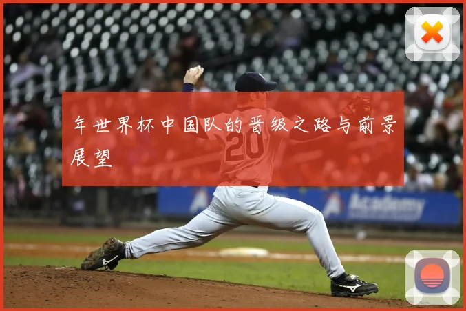 年世界杯中国队的晋级之路与前景展望